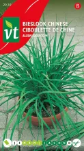 BIESLOOK CHINESE Allium tuberosum