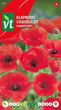 PAPAVER RODE KLAPROOS FLANDERS POPPY