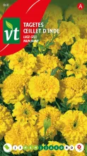 TAGETES LAGE GEEL