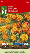 TAGETES LAGE ORANJE-BRUIN