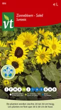 ZONNEBLOEM SUNTASTIC