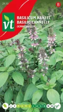 BASILICUM KANEEL