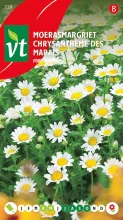MOERASMARGRIET PURE WHITE