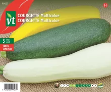 COURGETTE MULTICOLOR