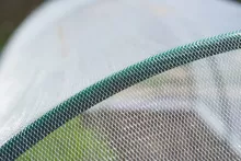 ANTI-INSECTENGAAS