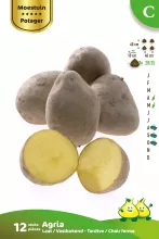 Aardappel Agria