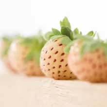 Aardbei PINEBERRY witte aardbei