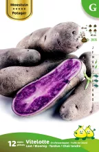 Aardappel Vitelotte