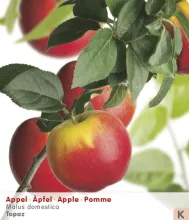 Appel 'TOPAZ'®