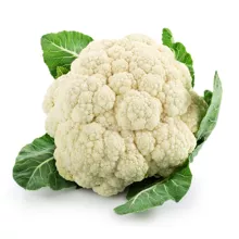 BLOEMKOOL WINTER
