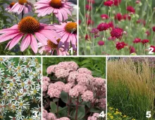 Borderpakket 'Prairie'