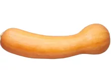 COURGE LONGUE DE NICE