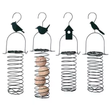 RECHTE VOGELVOEDERVEER