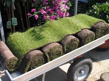 GRASZODEN 58x173cm afgehaald