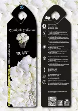 Hydrangea macr. 'Ice Girl'