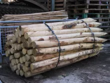 Kastanje palen diam.  8/10cm