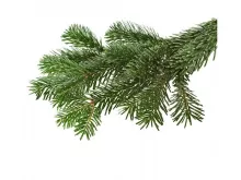 KERSTGROEN Extra groot