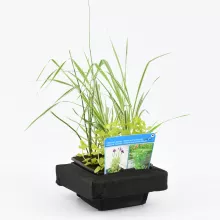 Mixmand met drijfring