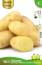 Aardappel Charlotte 