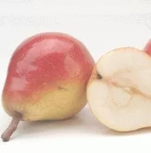 Peer 'CLAPP'S FAVOURITE'