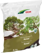 POTGROND BONSAI DCM