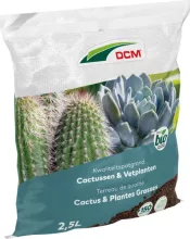 POTGROND CACTUSSEN & VETPLANTEN DCM