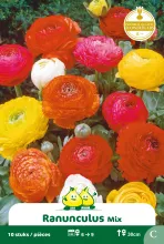 Ranunculus Mix 