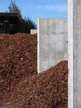 MARITIEME BOOMSCHORS (Afgehaald)