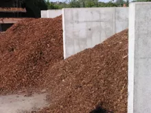 SYLVESTER SCHORS (Afgehaald)