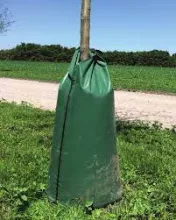 WATERZAK (bomen - meerstammigen)