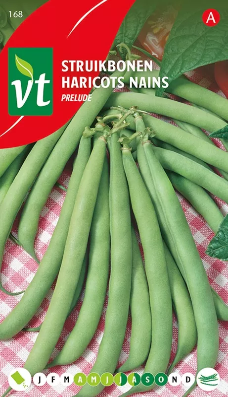 BONEN STRUIK PRELUDE