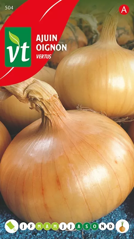 AJUIN WHITE LISBON BIO