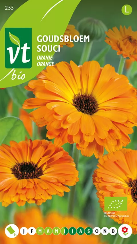 GOUDSBLOEM ORANJE BIO