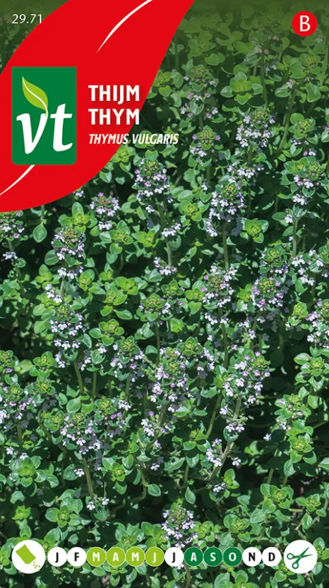 TIJM Thymus vulgaris