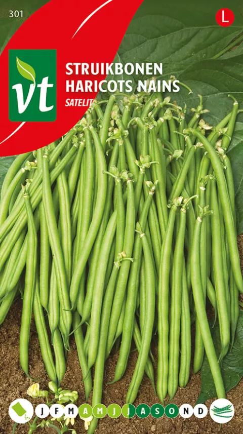 BONEN STRUIK SATELIT