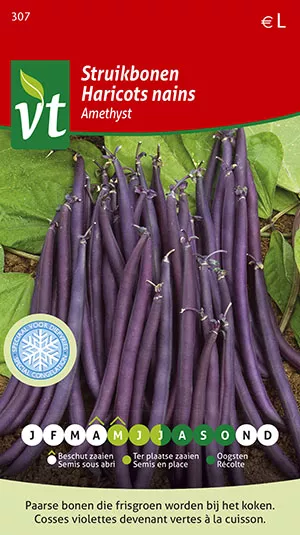 BONEN STRUIK AMETHYST