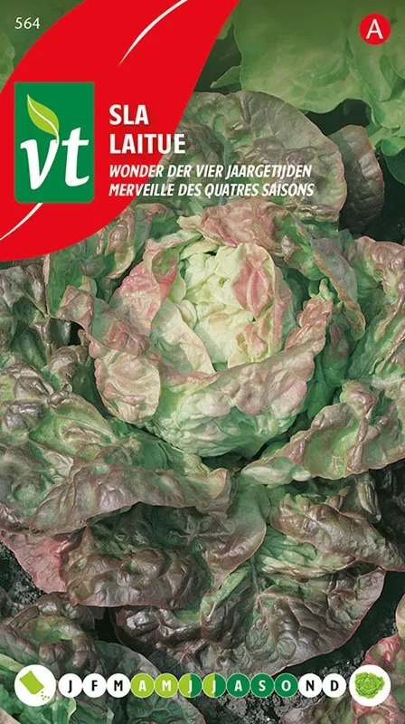 SLA WONDER DER VIER JAARGETIJDEN