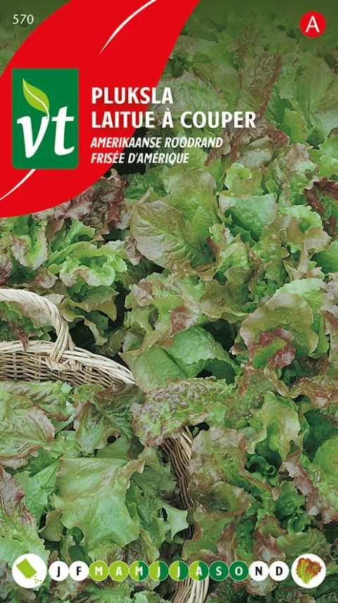 SLA PLUKSLA  AMERIKAANSE ROODRAND