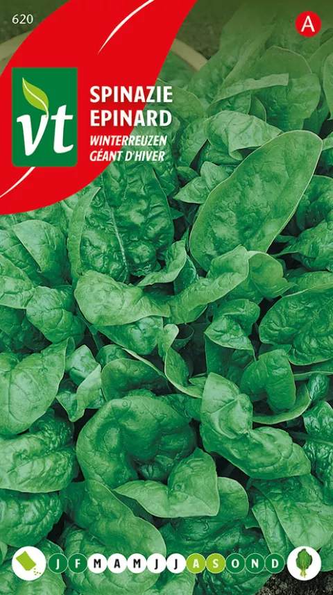 SPINAZIE WINTERREUZEN