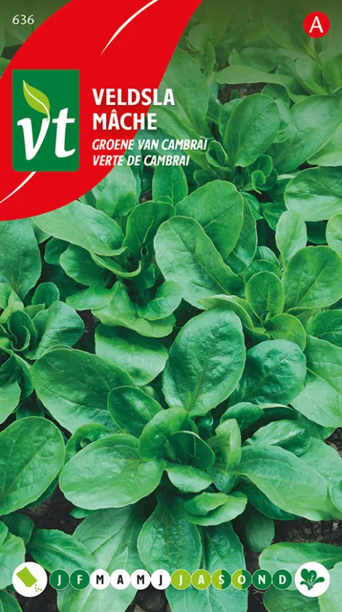 VELDSLA GROENE VAN CAMBRAI