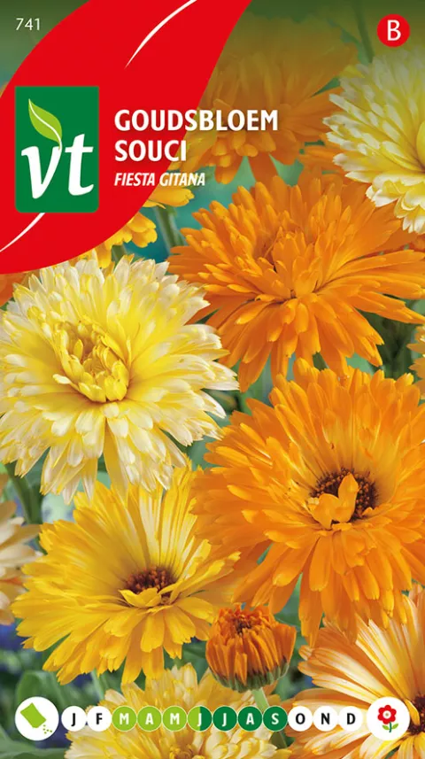 GOUDSBLOEM FIESTA GITANA