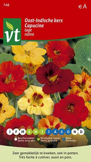 OOSTINDISCHE KERS LAGE