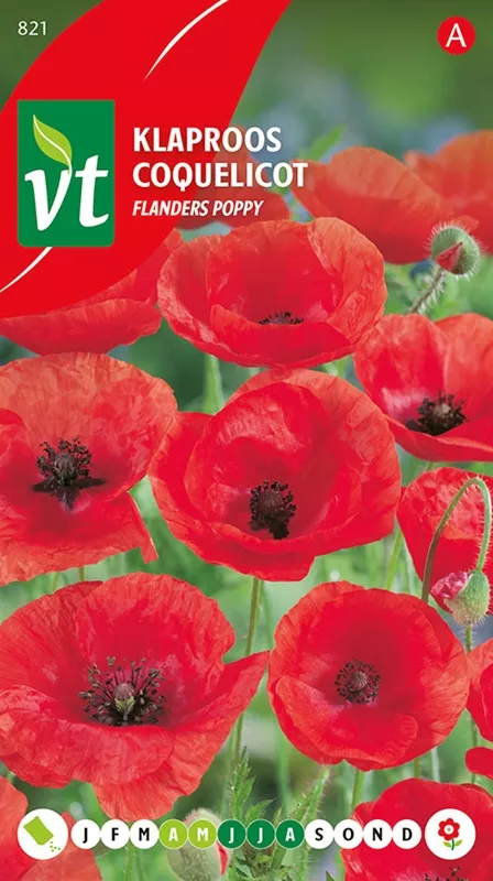 PAPAVER RODE KLAPROOS FLANDERS POPPY