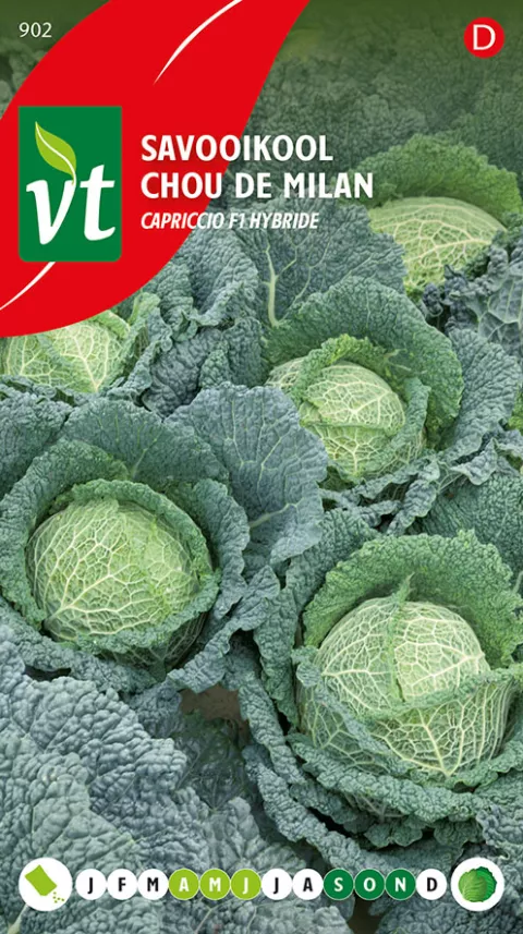 KOOL SAVOOI CAPRICCIO F1 HYBRIDE