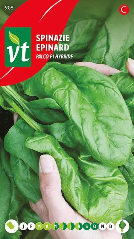 SPINAZIE PALCO F1 HYBRIDE