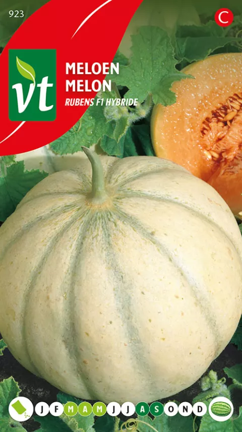 MELOEN RUBENS F1 HYBRIDE