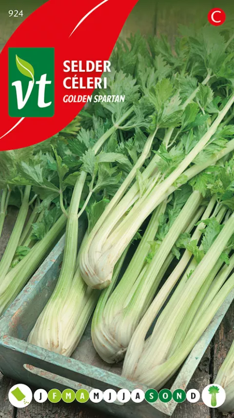 SELDER GOLDEN SPARTAN