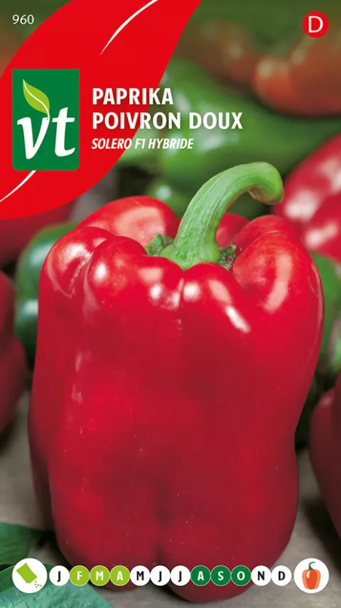 PAPRIKA SOLERO F1 HYBRIDE