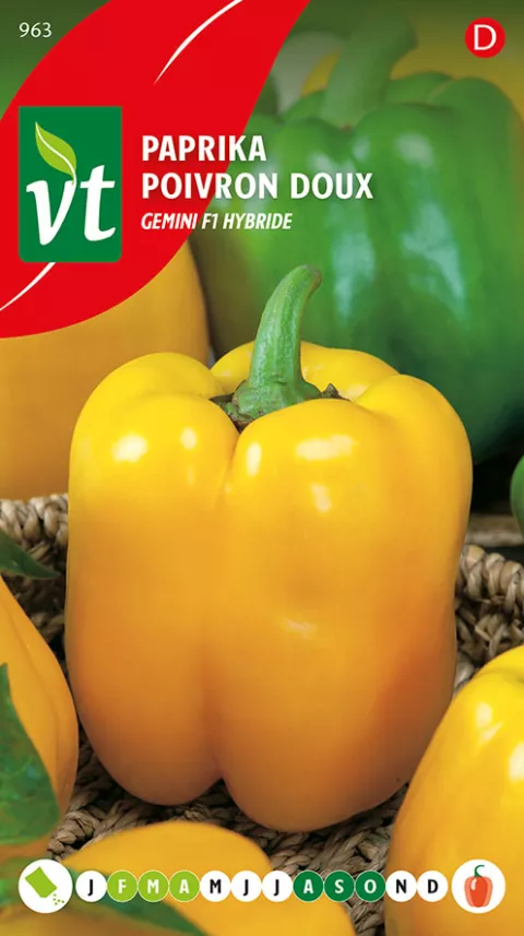 PAPRIKA GEMINI F1 HYBRIDE