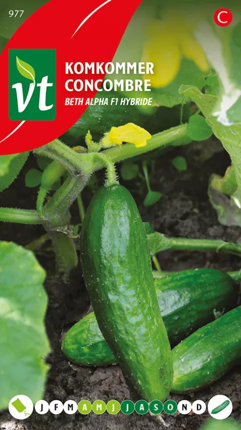 KOMKOMMER BETH ALPHA F1 HYBRIDE